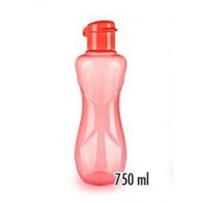 Waterfresh Water Bottle (750 ML)